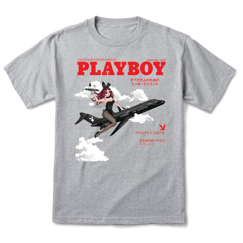 Take Flight Tee - Heather Grey